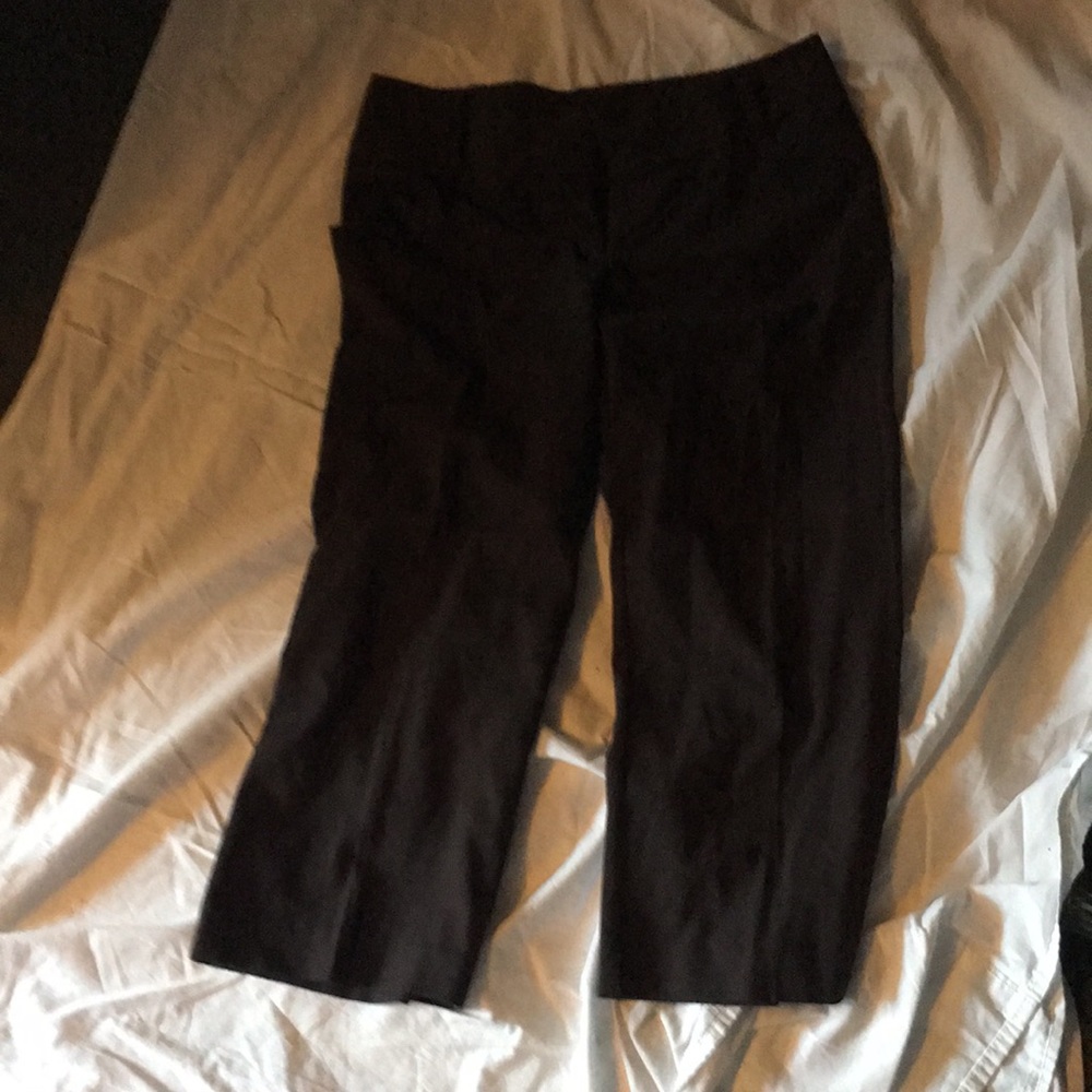 Capri dress slacks
